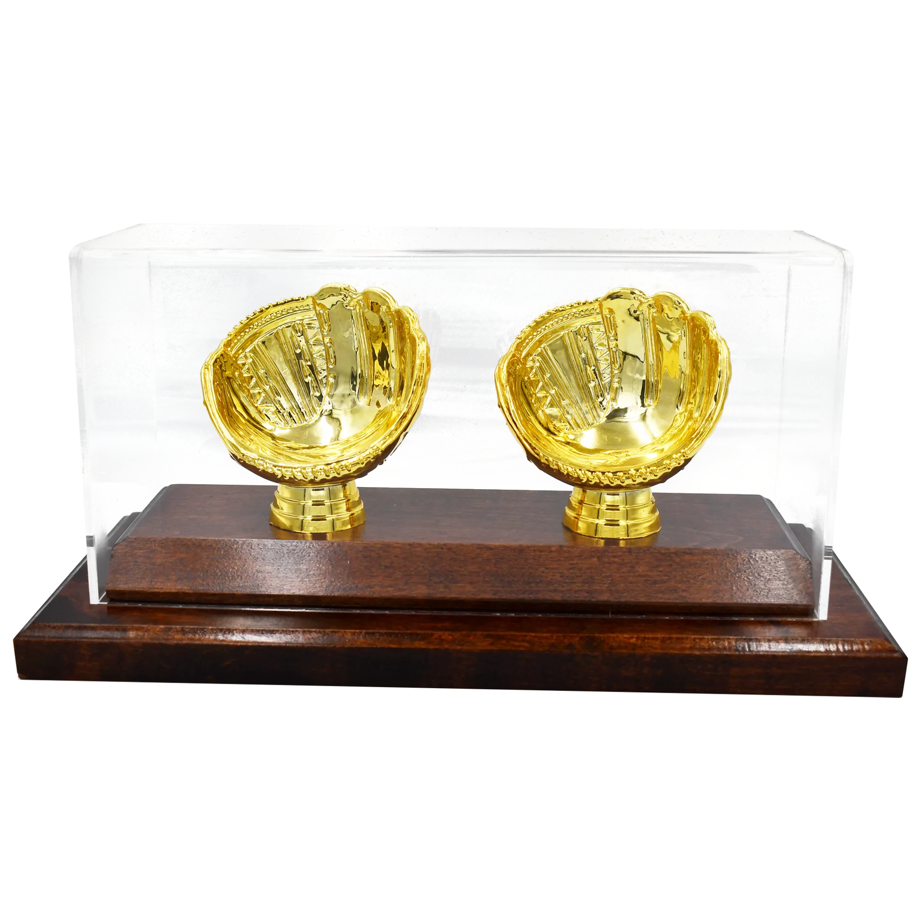 Acrylic Covered Gold Glove Baseball Display for 2 Baseballs