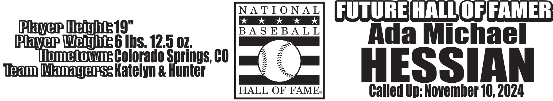 Custom engraved Cooperstown Bat Future Hall of Famer with Hall of Fame logo and Baby Stats .