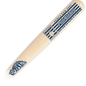 Phil Niekro Baseball Hall of Fame Stats Bat