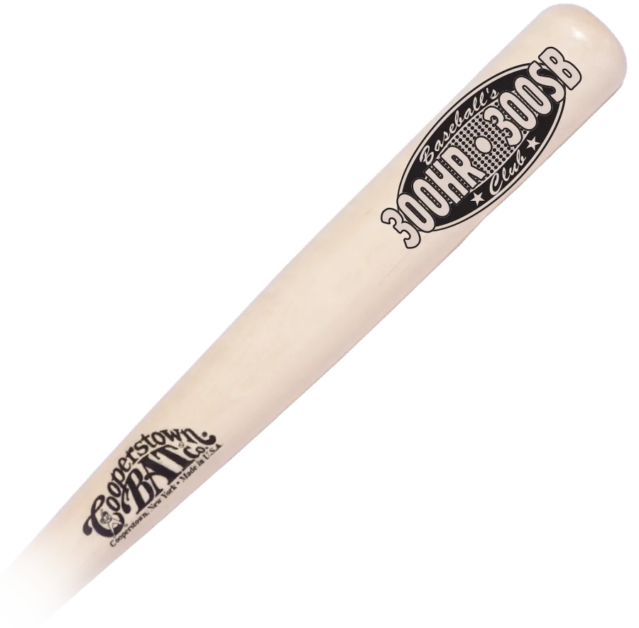 Personalized baseball bat with custom engravings.