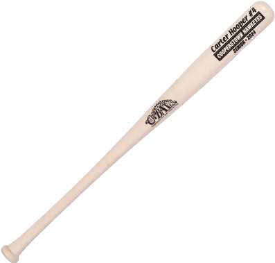Custom engraved bat uncludes coach/player name, team name.